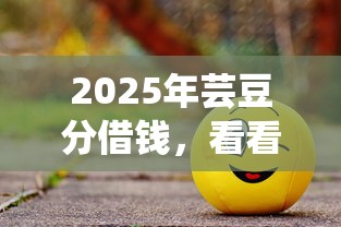 2025年芸豆分借钱，看看这五个网贷平台好
