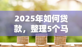 2025年如何贷款，整理5个马上花是借款平台贷款