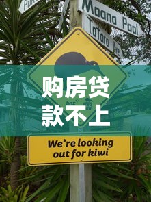 购房贷款不上征信吗？这3类情况要注意，别让征信拖后腿！