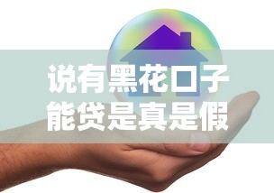 说有黑花口子能贷是真是假？过来人告诉你真实经历