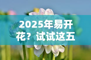 2025年易开花？试试这五个十大正规网贷平台
