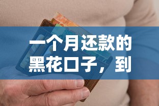 一个月还款的黑花口子，到底能不能用？过来人聊聊经验