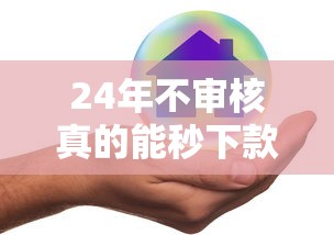 24年不审核真的能秒下款吗？实测这5个平台的实际操作流程