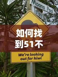 如何找到51不上征信的贷款？3个低门槛平台实测推荐