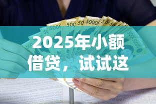 2025年小额借贷，试试这5个周周到贷款相同系列的口子