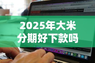 2025年大米分期好下款吗：罗列五个黑白贷款必过的软件