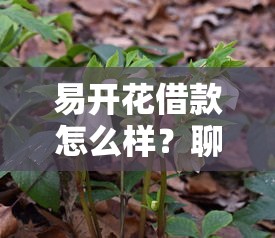 易开花借款怎么样？聊聊真实体验与避坑指南