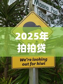 2025年拍拍贷上不上征信：看看这5个十大正规网贷平台