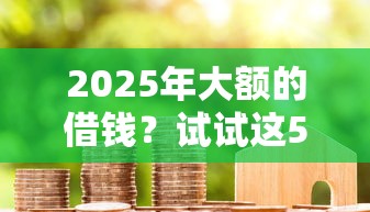2025年大额的借钱？试试这5个小微贷款平台