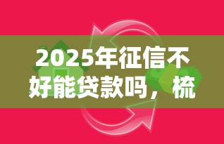 2025年征信不好能贷款吗，梳理5个金融创新秒下不要芝麻分的软件