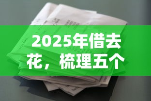2025年借去花，梳理五个黑户能下款的借款平台