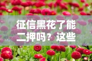 征信黑花了能二押吗？这些情况可能还有机会！
