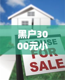 黑户3000元小贷百分百成功吗？真实情况大揭秘