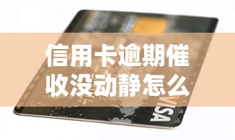 信用卡逾期催收没动静怎么办？5个步骤教你化解危机
