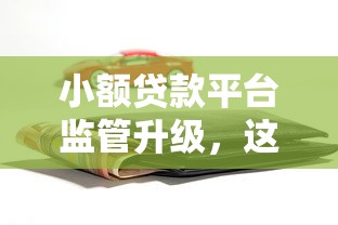 小额贷款平台监管升级，这5个变化直接影响你的钱包