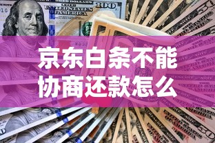 京东白条不能协商还款怎么办？亲测有效的应对策略