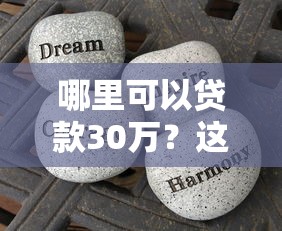 哪里可以贷款30万？这几种渠道适合你！