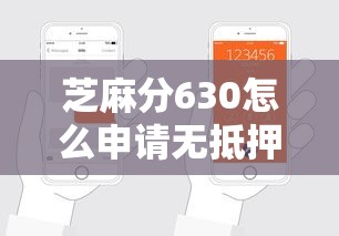 芝麻分630怎么申请无抵押信用贷款？这几个技巧帮你轻松搞定