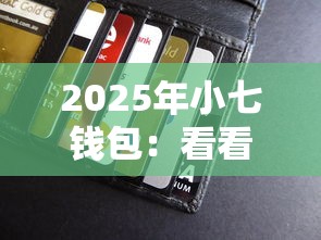 2025年小七钱包：看看这五个低门槛贷款平台
