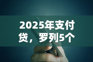 2025年支付贷，罗列5个好贷款的平台