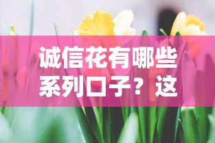 诚信花有哪些系列口子？这5个正规平台申请流程全解析