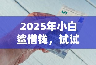 2025年小白鲨借钱，试试这5个类似花薪的30天借款平台