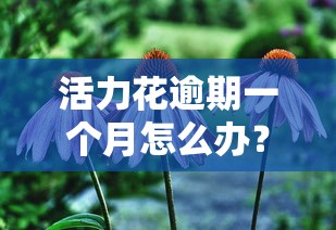 活力花逾期一个月怎么办？会怎样？3个补救方法要记牢