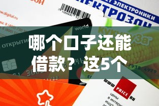 哪个口子还能借款？这5个平台审核快、额度高！
