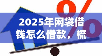 2025年网袋借钱怎么借款，梳理5个企业信用贷款平台