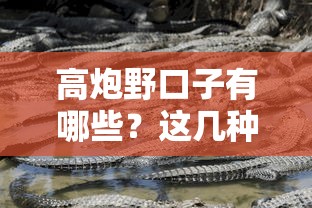 高炮野口子有哪些？这几种类型千万要警惕