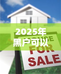 2025年黑户可以贷款吗，罗列五个可以借钱的平台