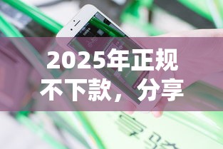 2025年正规不下款，分享5个无视黑户花户必下款口子