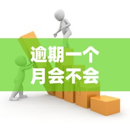 逾期一个月会不会成黑名单？关键细节全解析