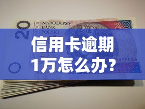 信用卡逾期1万怎么办？这些解决办法或许能帮你渡过难关！