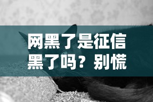 网黑了是征信黑了吗？别慌！搞清楚这些区别再贷款也不迟