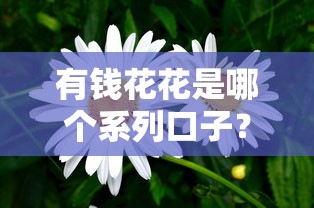 有钱花花是哪个系列口子？实测这3款更容易下款