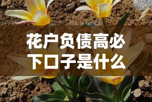 2025年不看征信负债线下贷款：梳理五个借钱平台不看综合评估的app