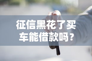 征信黑花了买车能借款吗？哎，其实还有这些办法能试试！