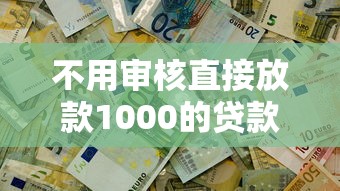 不用审核直接放款1000的贷款平台真实测评