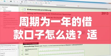 周期为一年的借款口子怎么选？适合哪些人申请？