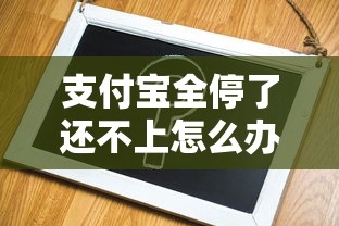 支付宝全停了还不上怎么办？三种解决思路亲测有效