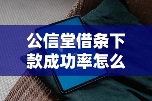 公信堂借条下款成功率怎么样？实测数据+避坑经验分享