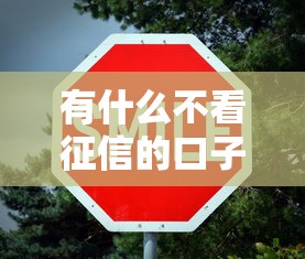 有什么不看征信的口子吗？这5个方法或许能帮你应急！