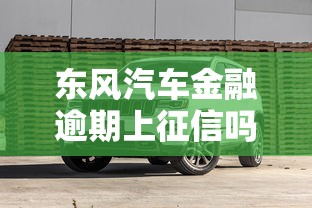 东风汽车金融逾期上征信吗？老司机实测避坑指南