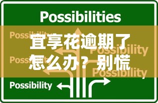 宜享花逾期了怎么办？别慌！这5招帮你轻松解决
