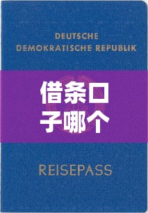 借条口子哪个靠谱？这5家平台审核快、利息低！