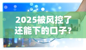 2025被风控了还能下的口子？这5个渠道实测有效