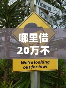 哪里借20万不上征信？这几种渠道悄悄告诉你