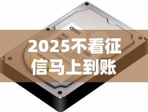 2025不看征信马上到账的贷款平台有哪些