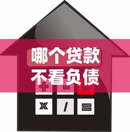 哪个贷款不看负债正规？这5家平台门槛低、审核快